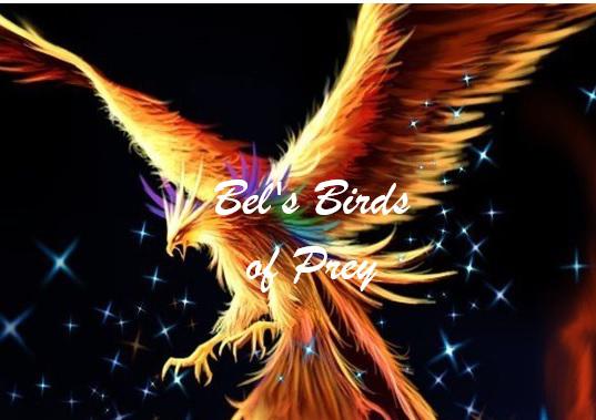 Bel's Birds of prey.jpg